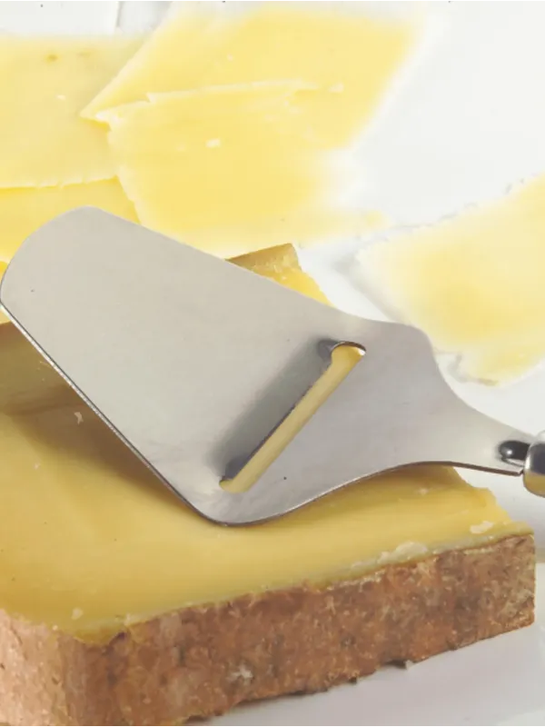 Raclette à fromage - Sabatier