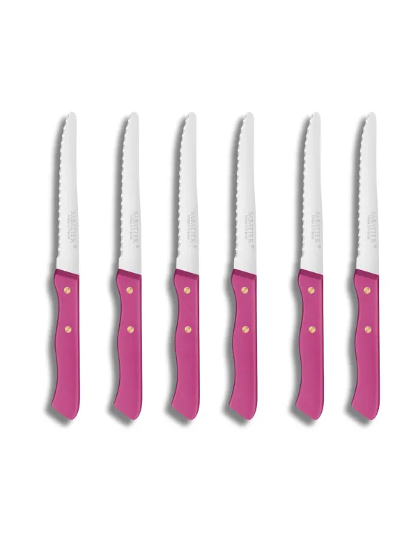 Set de 6 couteaux de Table SERIE 197 - 10,5 cm - Lame Microdentée Inox et Rivets en Laiton  - Sabatier