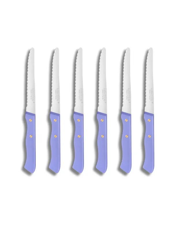 Set de 6 couteaux de Table SERIE 197 - 10,5 cm - Lame Microdentée Inox et Rivets en Laiton  - Sabatier