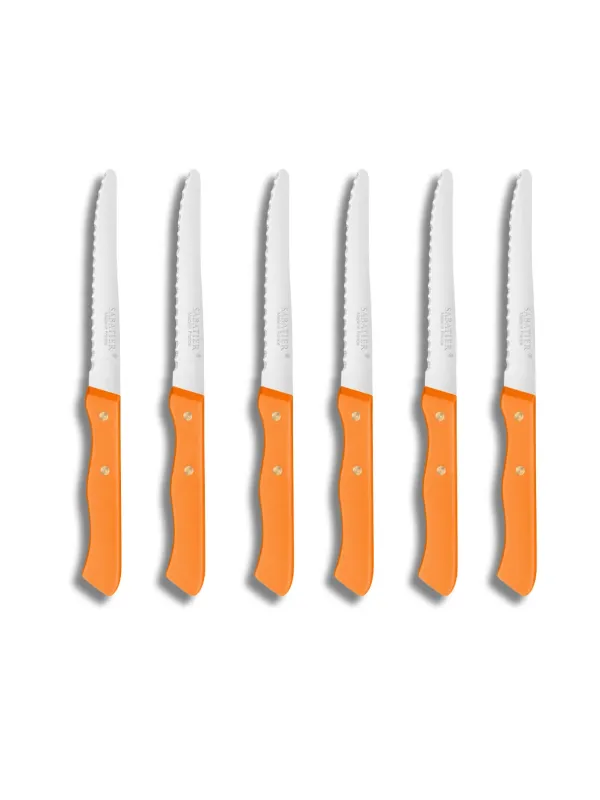 Set de 6 couteaux de Table SERIE 197 - 10,5 cm - Lame Microdentée Inox et Rivets en Laiton  - Sabatier