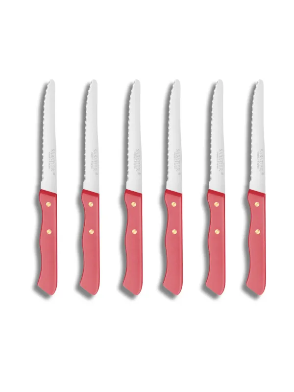 Set de 6 couteaux de Table SERIE 197 - 10,5 cm - Lame Microdentée Inox et Rivets en Laiton  - Sabatier