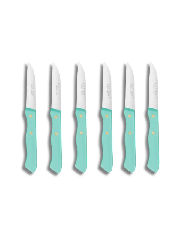 Set de 6 couteaux Office Stylet SERIE 197 - 7 cm - Lame Inox et Rivets en Laiton  - Sabatier