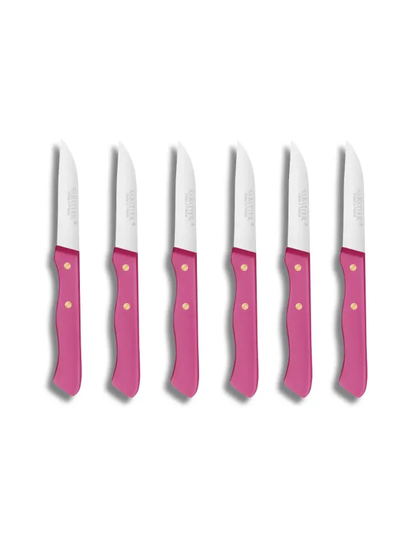 Set de 6 couteaux Office Stylet SERIE 197 - 7 cm - Lame Inox et Rivets en Laiton  - Sabatier