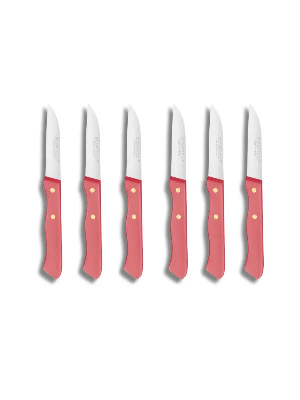 Set de 6 couteaux Office Stylet SERIE 197 - 7 cm - Lame Inox et Rivets en Laiton  - Sabatier