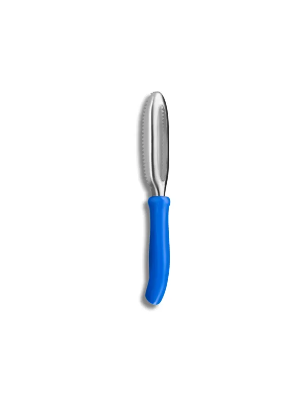 Ecailleur à poisson 27 cm - Sabatier