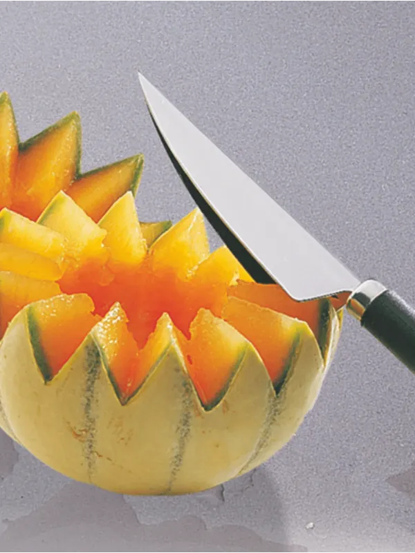 Couteau décor melons - Sabatier